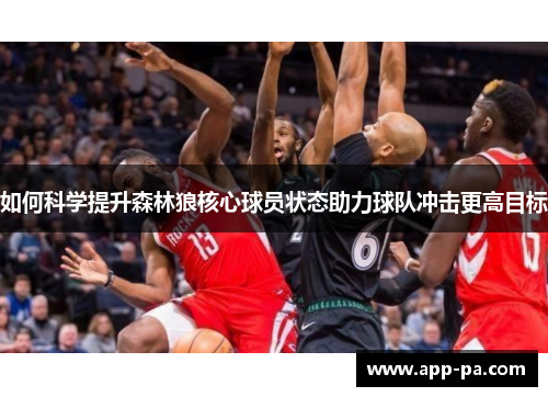 如何科学提升森林狼核心球员状态助力球队冲击更高目标