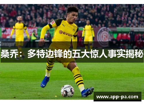 桑乔：多特边锋的五大惊人事实揭秘