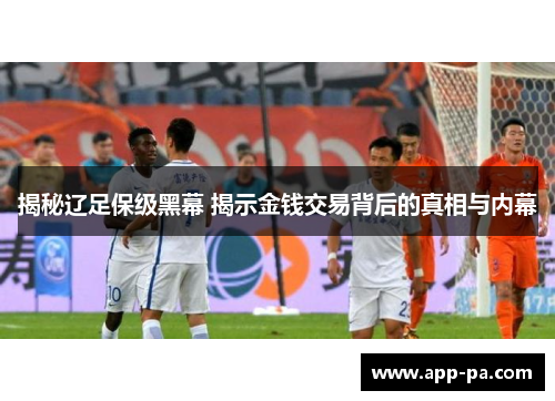 揭秘辽足保级黑幕 揭示金钱交易背后的真相与内幕