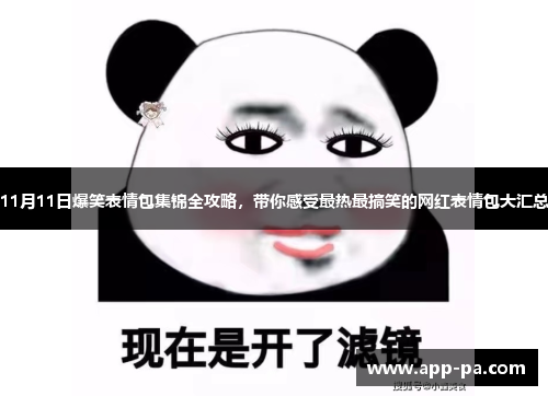 11月11日爆笑表情包集锦全攻略，带你感受最热最搞笑的网红表情包大汇总