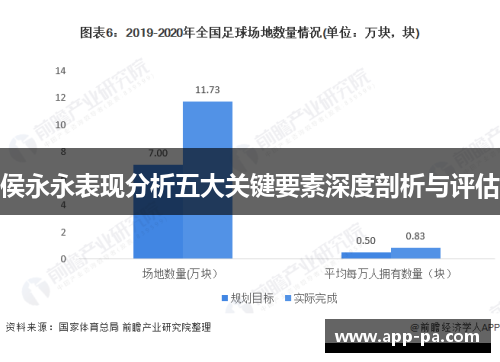 侯永永表现分析五大关键要素深度剖析与评估