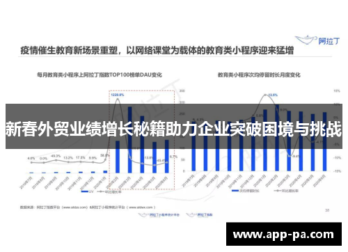 新春外贸业绩增长秘籍助力企业突破困境与挑战