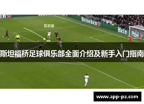 斯坦福桥足球俱乐部全面介绍及新手入门指南