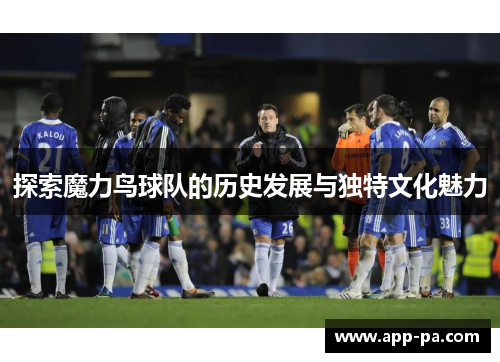探索魔力鸟球队的历史发展与独特文化魅力