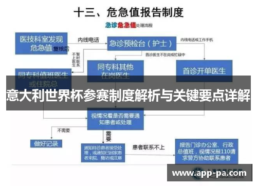 意大利世界杯参赛制度解析与关键要点详解