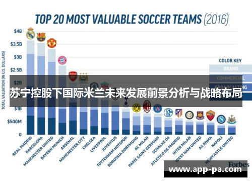苏宁控股下国际米兰未来发展前景分析与战略布局