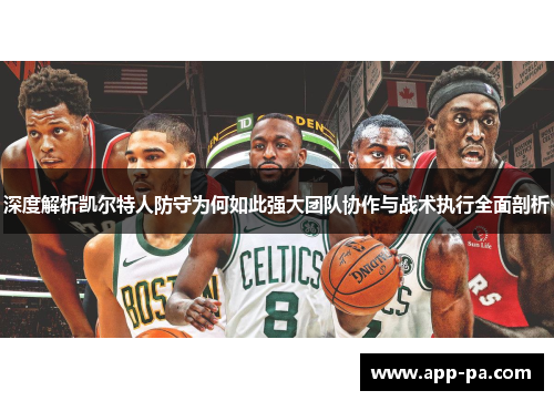 深度解析凯尔特人防守为何如此强大团队协作与战术执行全面剖析