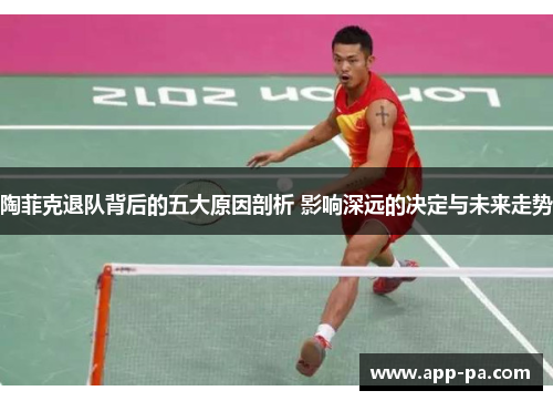 陶菲克退队背后的五大原因剖析 影响深远的决定与未来走势 陶菲克退队背后的五大原因剖析 影响深远的决定与未来走势