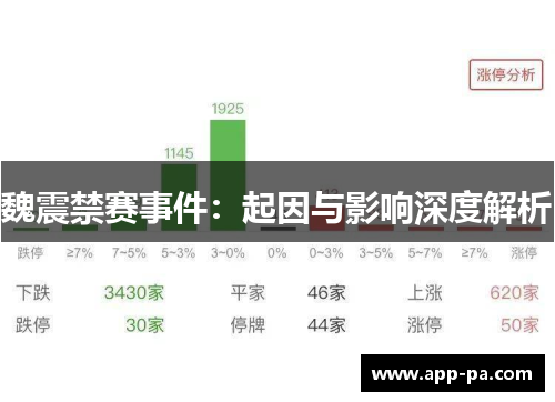 魏震禁赛事件：起因与影响深度解析