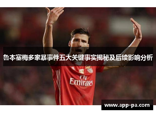 鲁本塞梅多家暴事件五大关键事实揭秘及后续影响分析