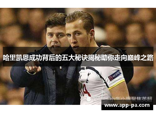 哈里凯恩成功背后的五大秘诀揭秘助你走向巅峰之路