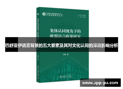巴舒亚伊语言背景的五大要素及其对文化认同的深远影响分析