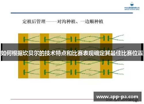 如何根据坎贝尔的技术特点和比赛表现确定其最佳比赛位置