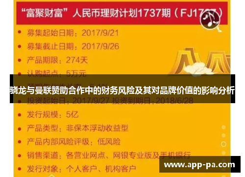 骁龙与曼联赞助合作中的财务风险及其对品牌价值的影响分析