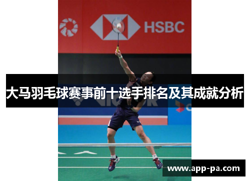 大马羽毛球赛事前十选手排名及其成就分析