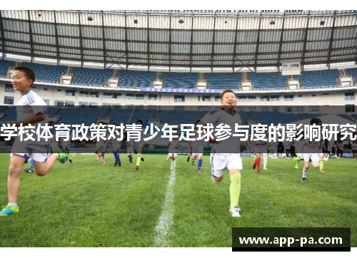 学校体育政策对青少年足球参与度的影响研究
