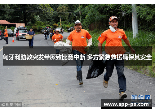 匈牙利助教突发晕厥致比赛中断 多方紧急救援确保其安全